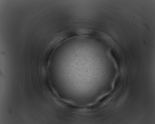 X0000090870426200708031013