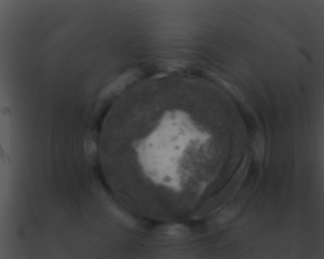 X0000090870427200708031013