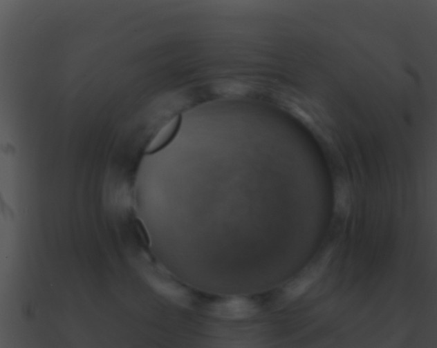 X0000090870431200708031013