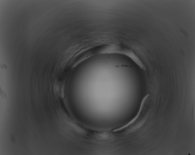 X0000090870432200708031013