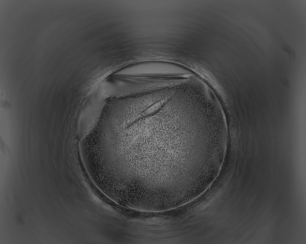 X0000090870433200708031012