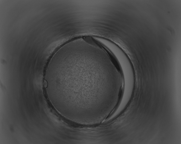 X0000090870434200708031012