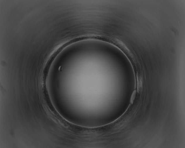 X0000090870435200708031012