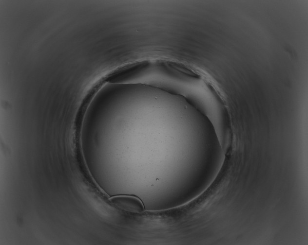 X0000090870439200708031012