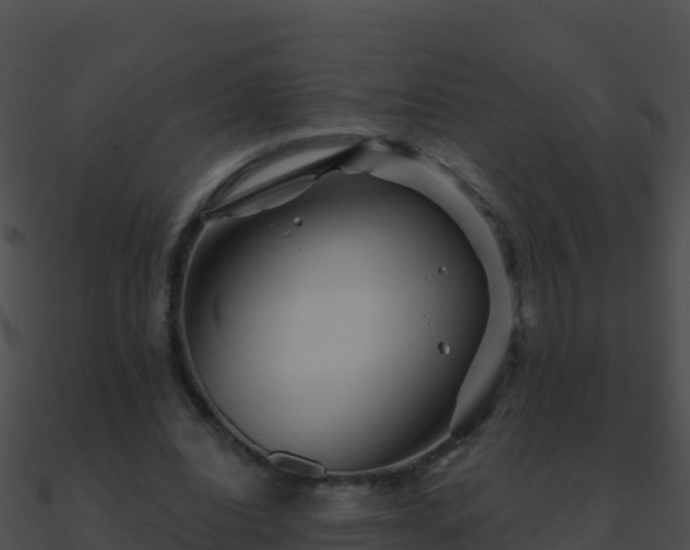 X0000090870440200708031012