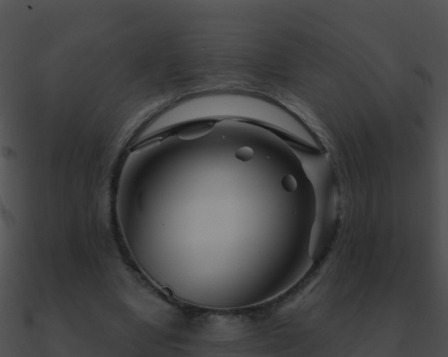 X0000090870442200708031012