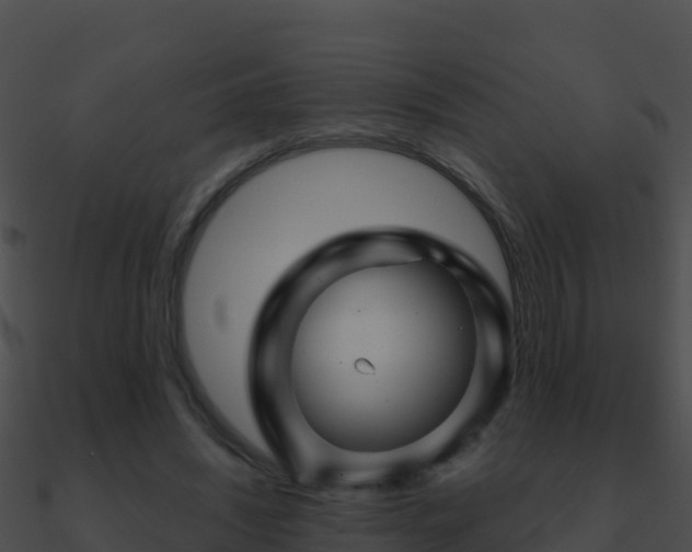 X0000090870444200708031012