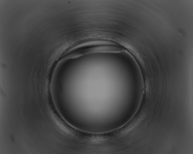 X0000090870445200708031012