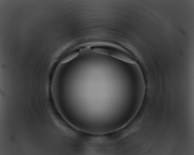 X0000090870446200708031012