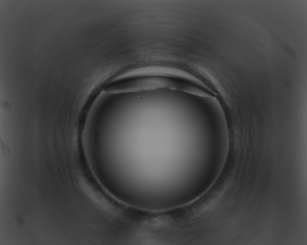 X0000090870447200708031012