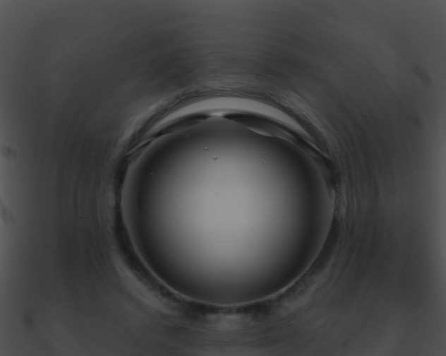 X0000090870448200708031012