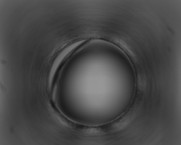 X0000090870449200708031012