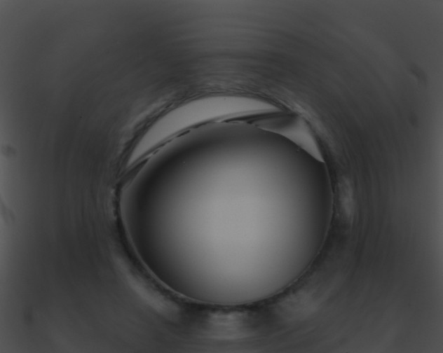 X0000090870450200708031012