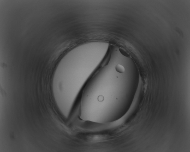 X0000090870452200708031012