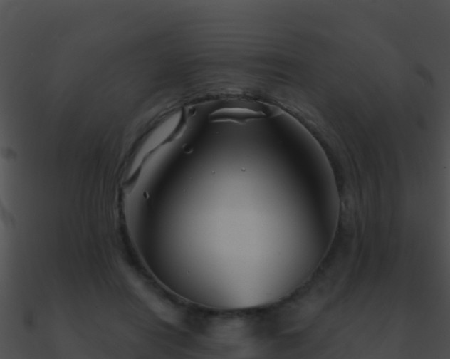 X0000090870454200708031012