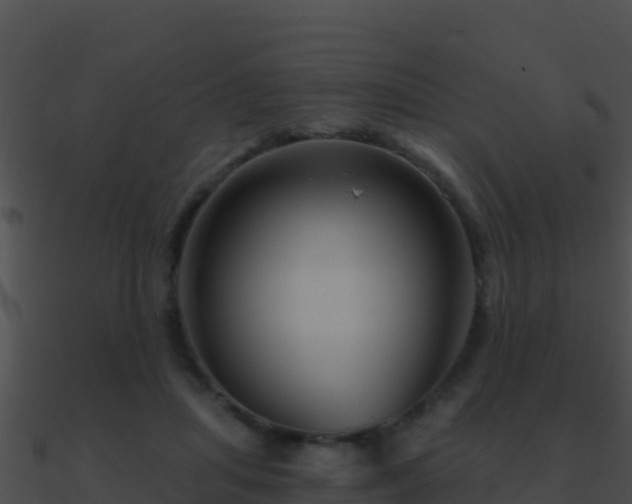 X0000090870455200708031012