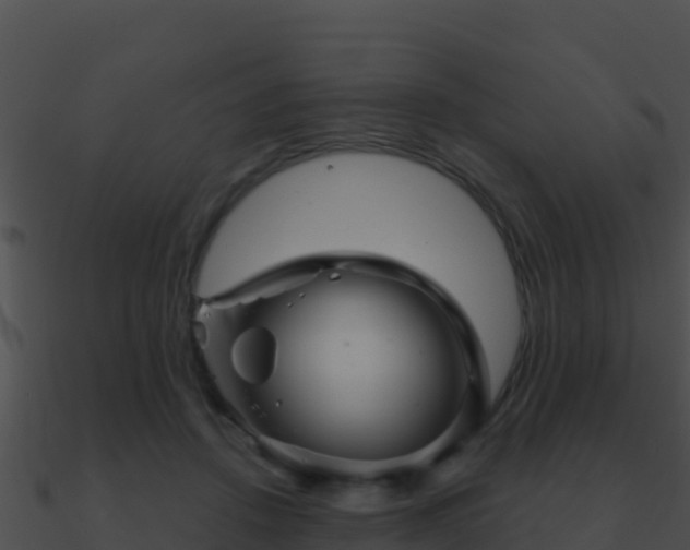 X0000090870456200708031012