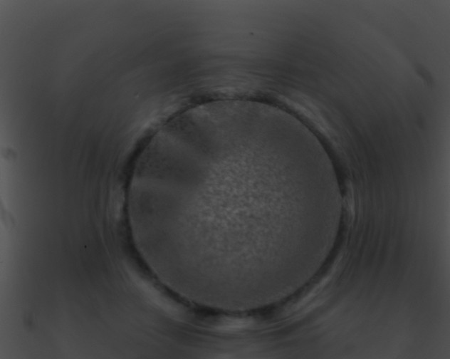 X0000090870458200708031012