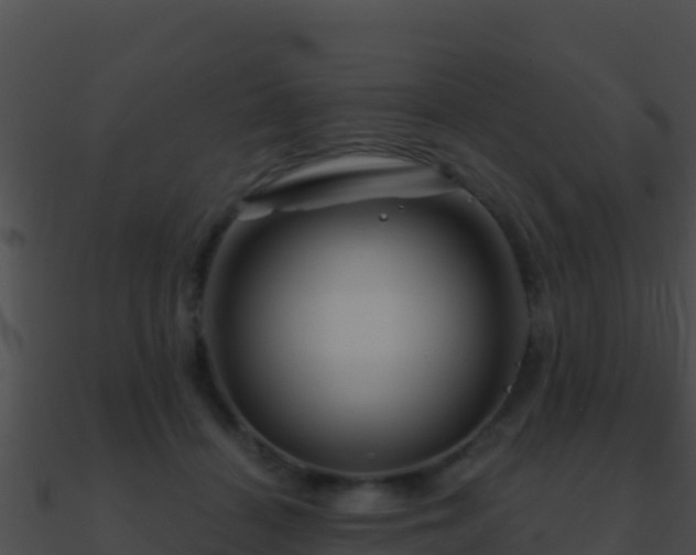 X0000090870460200708031012