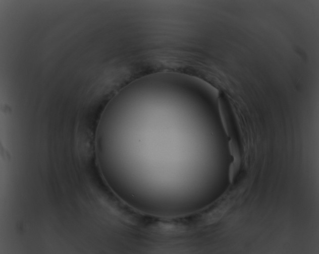 X0000090870464200708031013