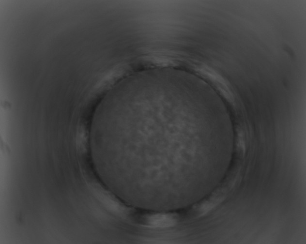 X0000090870465200708031013