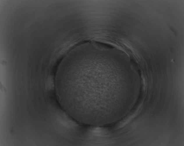 X0000090870467200708031013