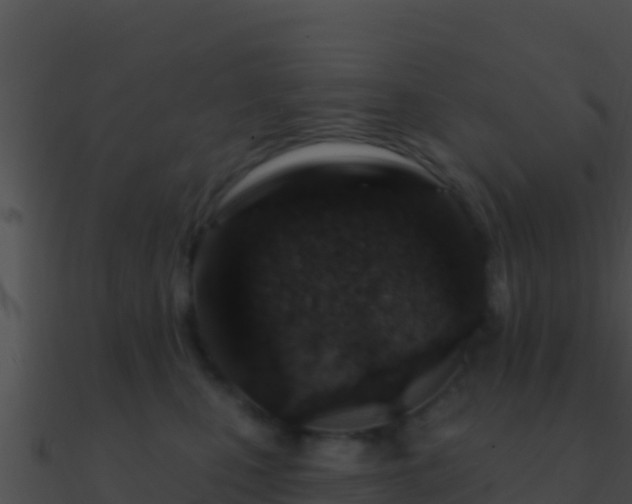 X0000090870471200708031013