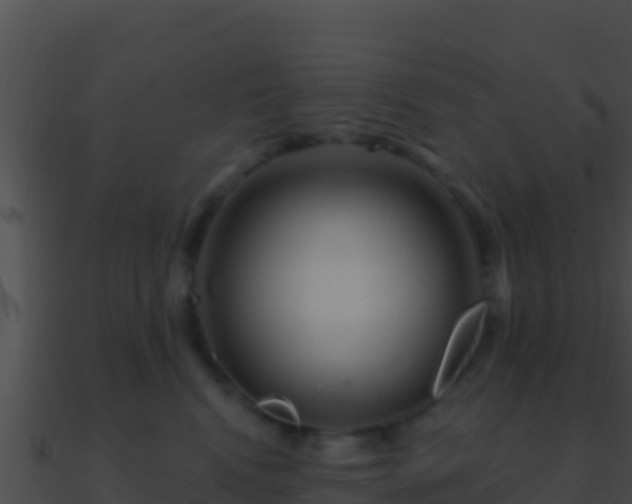 X0000090870472200708031013