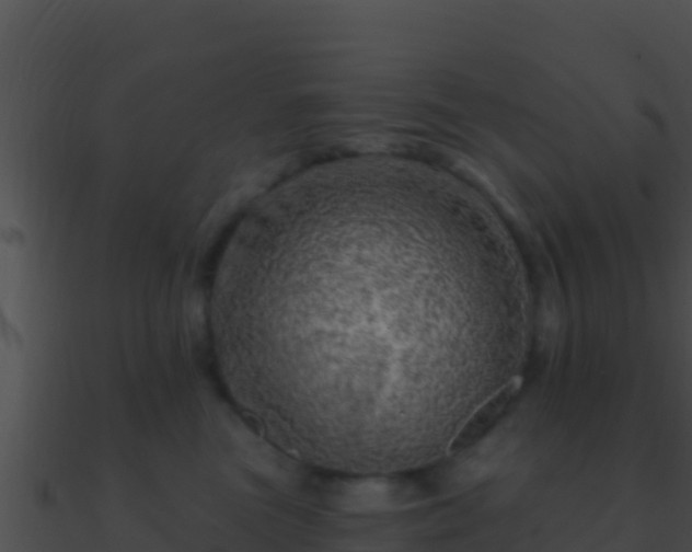 X0000090870473200708031013