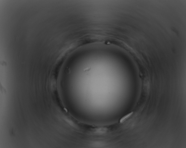 X0000090870474200708031013