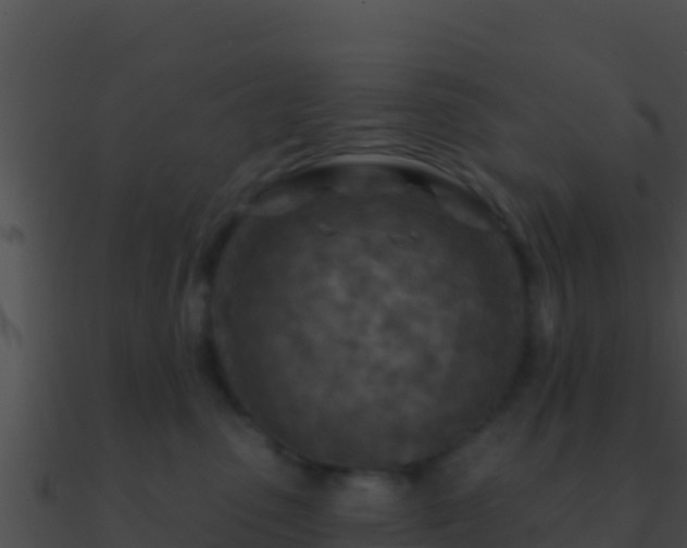 X0000090870475200708031013