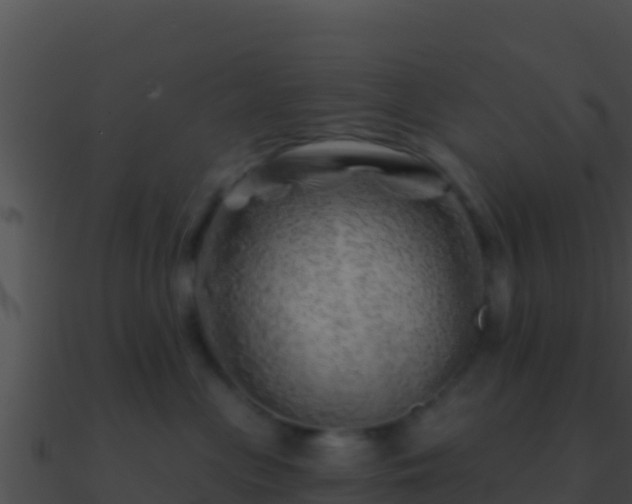 X0000090870477200708031013