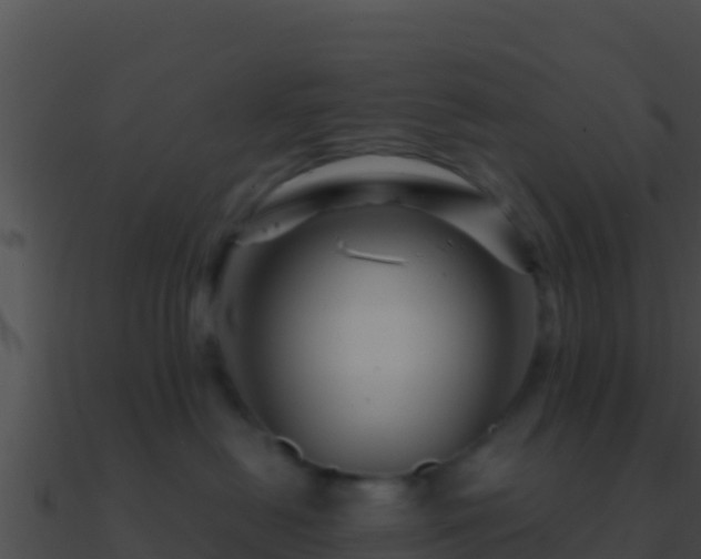 X0000090870478200708031013