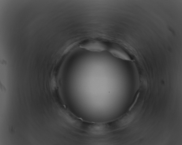 X0000090870479200708031013