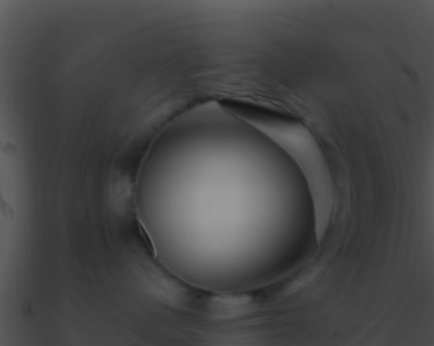 X0000090870480200708031013