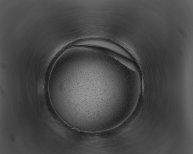 X0000090870483200708031012