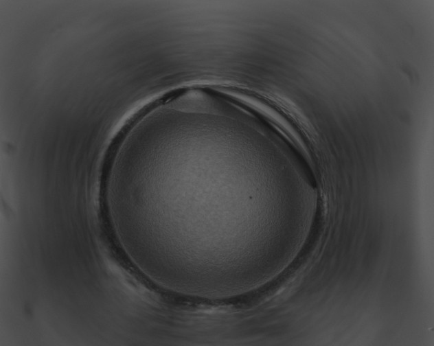 X0000090870484200708031012