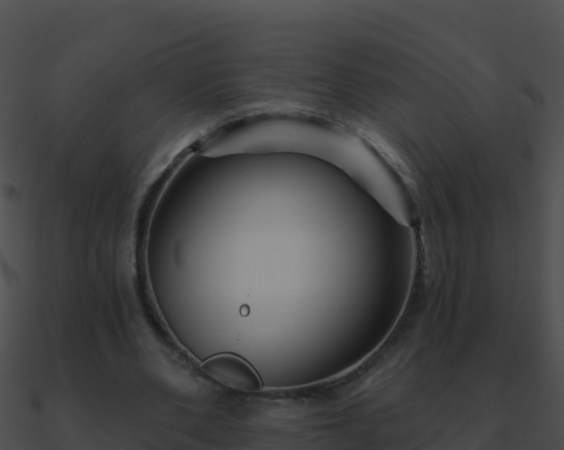 X0000090870486200708031012