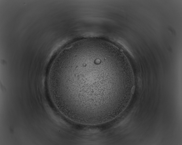 X0000090870491200708031012