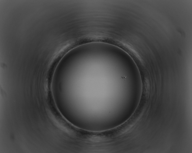 X0000090870494200708031012