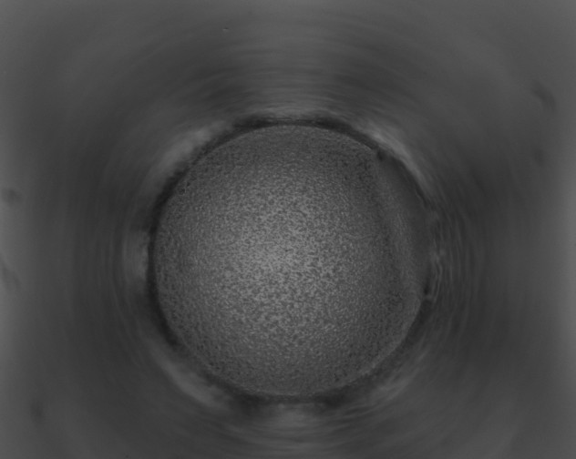 X0000090870495200708031012