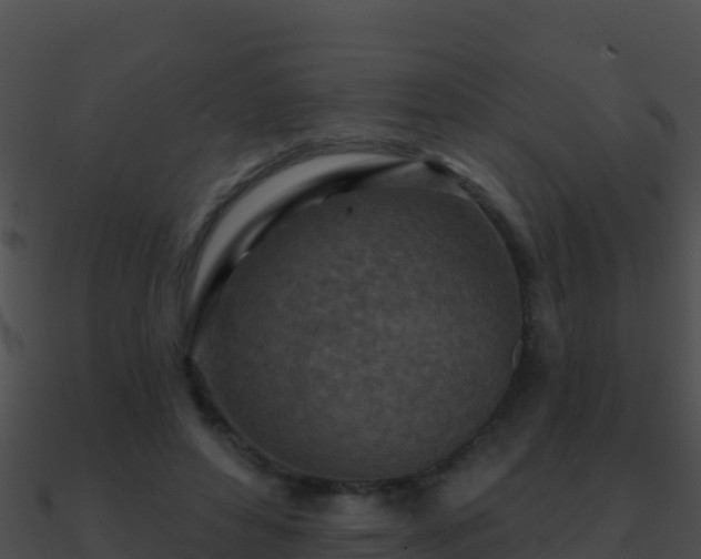 X0000090870496200708031012