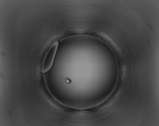 X0000090870497200708031012