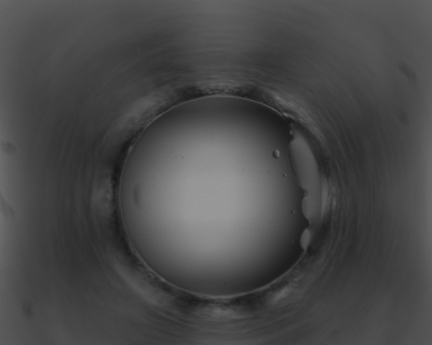 X0000090870498200708031012