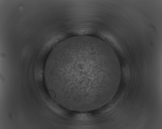 X0000090870499200708031012