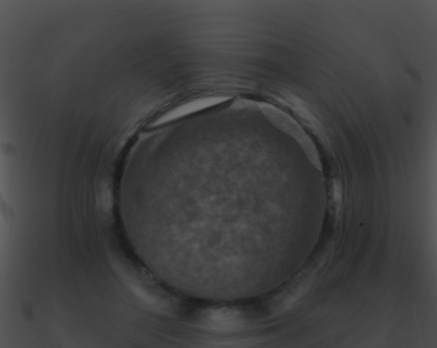 X0000090870500200708031012