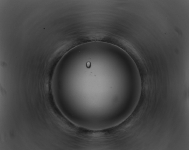 X0000090870501200708031012