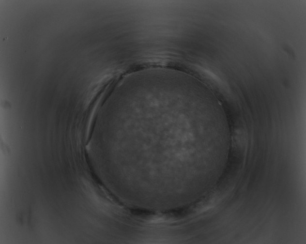 X0000090870504200708031012