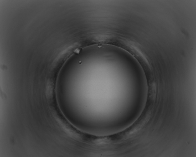 X0000090870505200708031012