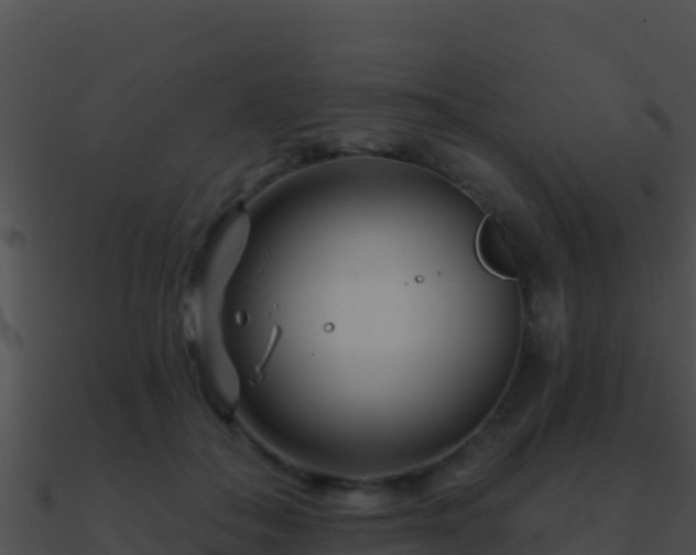 X0000090870506200708031012